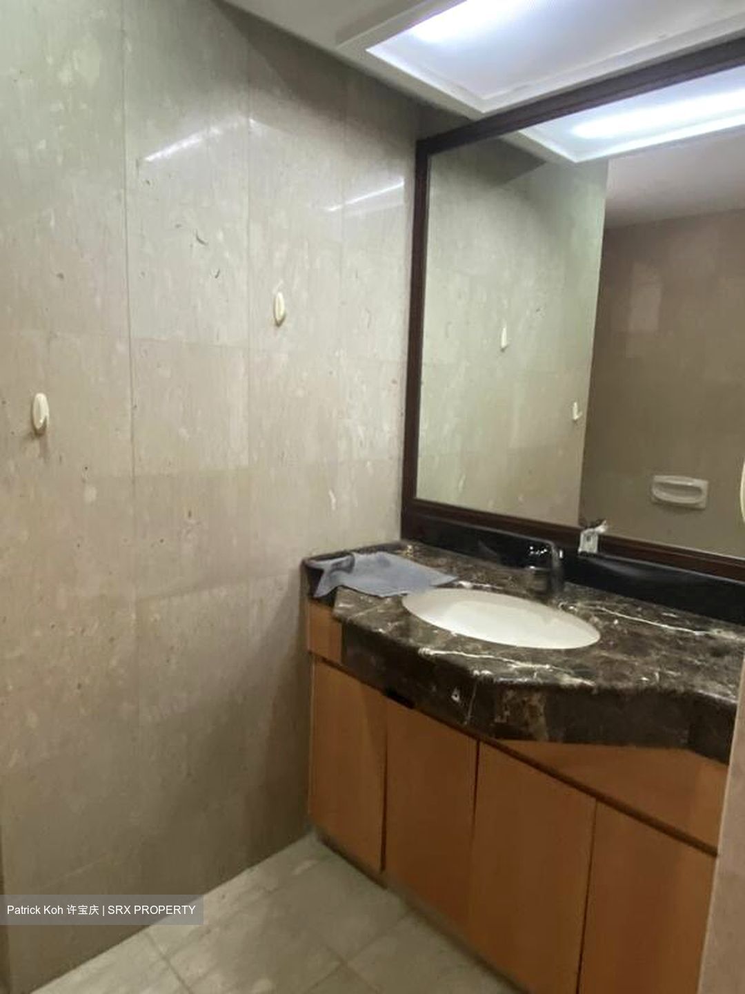 Carissa Park Condominium (D17), Condominium #496105421